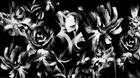 Simulation Romance ombrée Noir