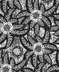 Florescence NOIR