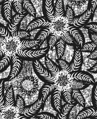 Simulation Florescence NOIR