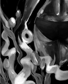 Simulation Galerie WC N&B