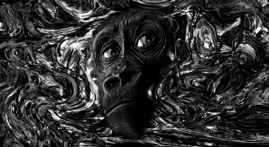 Echantillon Galaxie Primatiale Noir